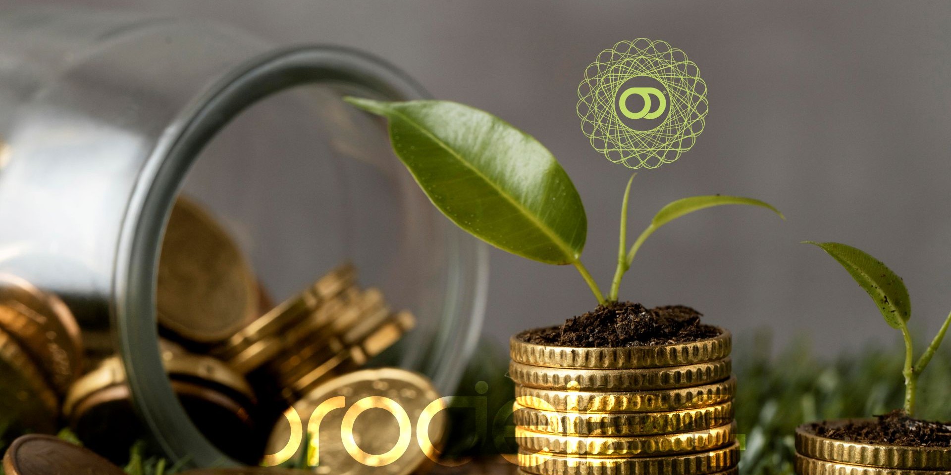Il tesoro nascosto: Monete d'oro da collezione svelano un nuovo modo di investire con orodei24
